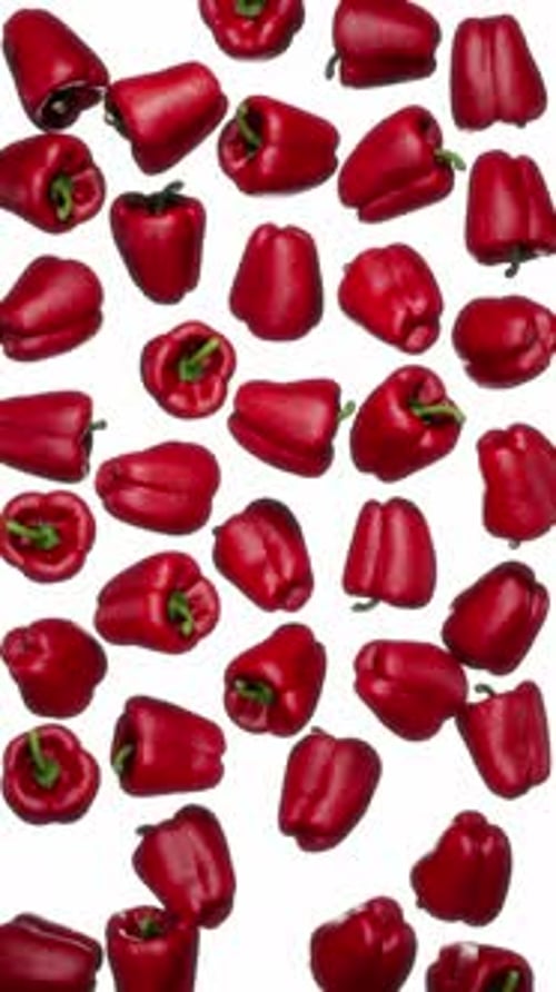 Red Bell Peppers Falling Vertical Background Animation