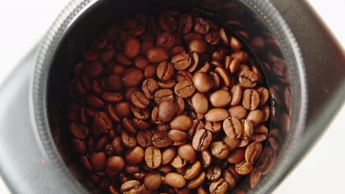 Electric Coffee Grinder Preparing to Grind Coffee in Shop Barista Making Specialty Drink