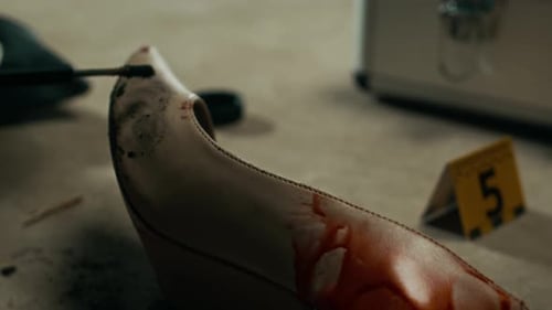 Collecting Evidence From Bloody Shoe at Crime Scene