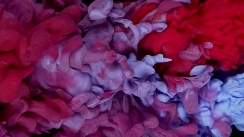 Vibrant Red, Pink, and Blue Ink Swirls Abstractly