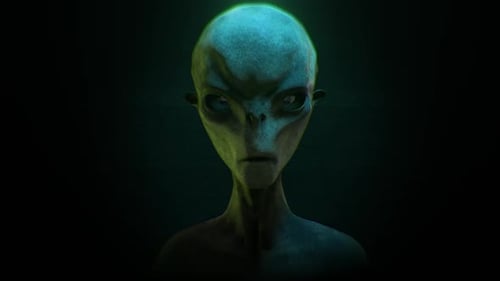Non Human Intelligence