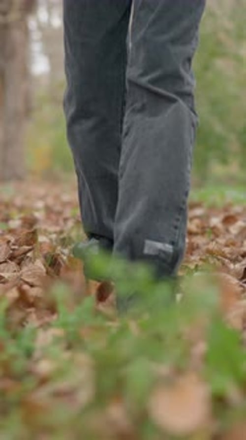 Leg View of Child Scattering Autumn Leaves on Forest Floor with Stick