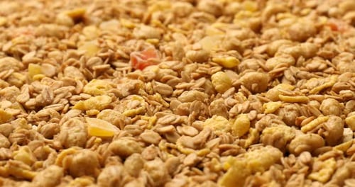 Crunchy Toasted Breakfast Cereal with Candied Fruit Pieces