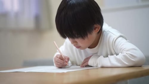 boy studying