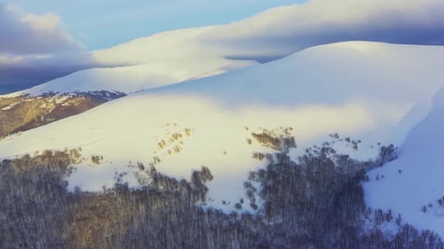 High Snowy Mountain Covered with Evergreen Fir Trees on a Sunny Cold Day