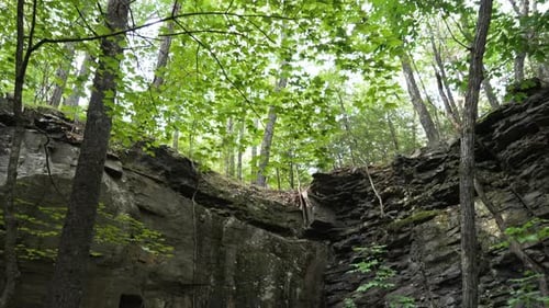 Black sedimentary rock wall strata layers background in a humid forest