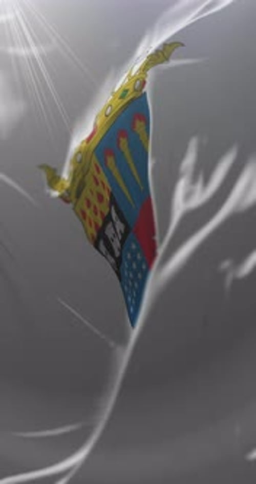 Ñuble Flag