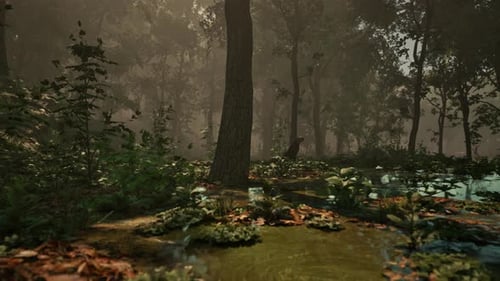 Mystic Foggy Swamp with Trees