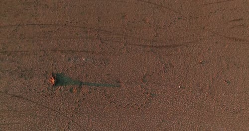 Arid Desert Landscape at Sunrise or Sunset
