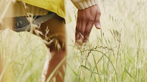 Hands, walking and woman in grass field outdoor for countryside freedom