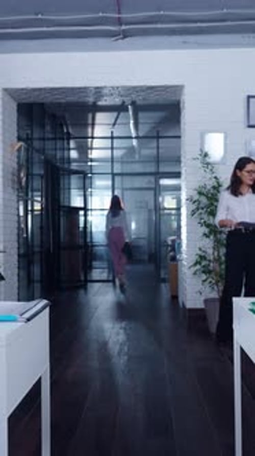 Modern Open Plan Office with Collaborative Business Team Discussing Project at Desks While