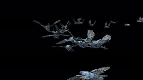 Abstract Stylized Birds Flying Alpha Channel Animation