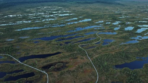 An aerial view of a field with lots of water