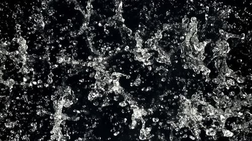 Splashing Water Droplets on a Black Background