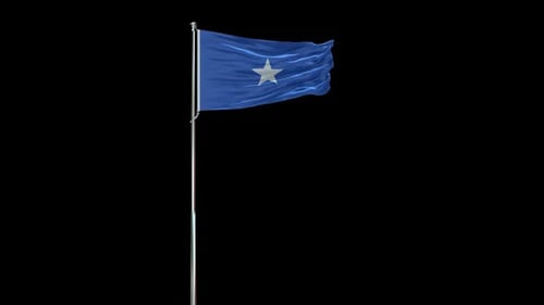 Realistic 3D Somalia National Flag Waving on a Flagpole