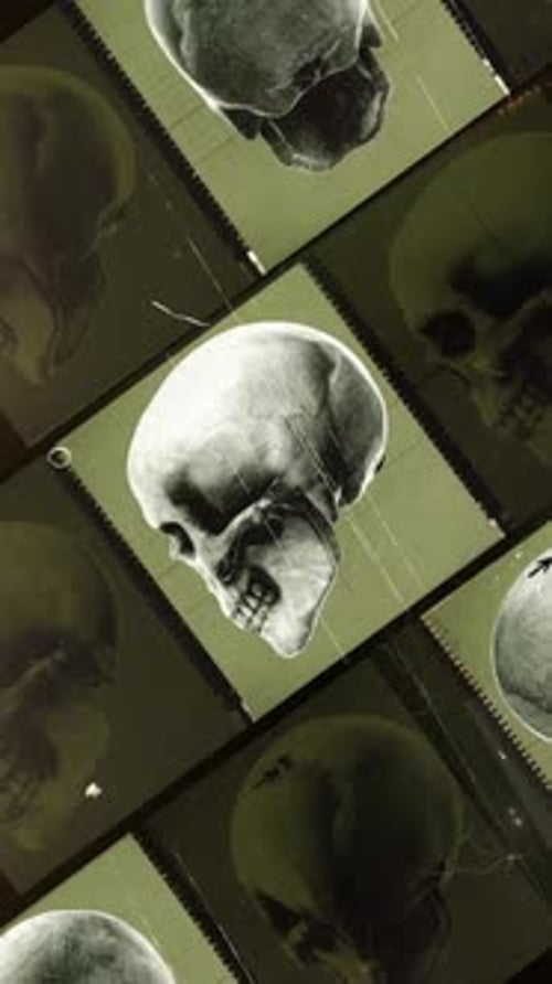 Old Film Skull Spin Archive Clip
