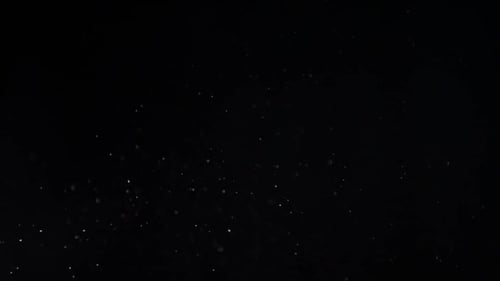 Glitter particles