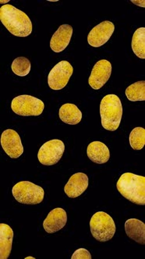 Realistic Falling Potatoes Vertical Loop Animation