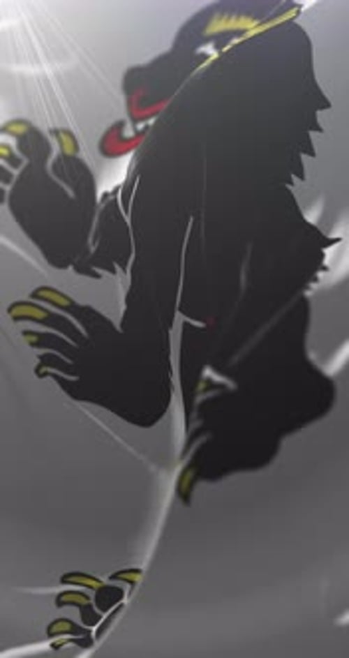 Flag of St. Gallen City