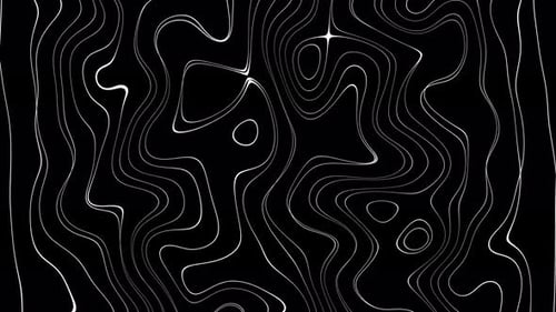 Abstract White Fluid Lines Flowing Loop Background Animation