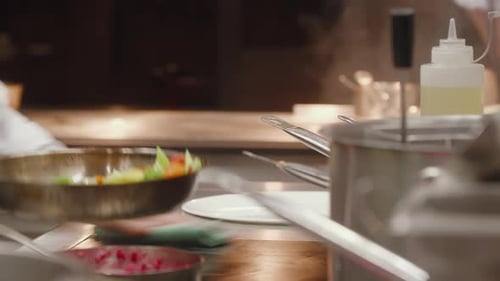 Chefs Preparing Gourmet Food in Commercial Kitchen