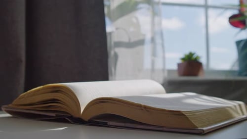 Open Book Pages Turning in Sunny Window Light