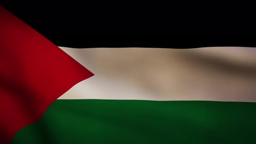 Realistic Waving Flag of Palestine Seamless Loop