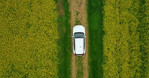 Aerial View Electric Car Driving on Country Road Luxury Modern Vehicle Riding Fast Along Trees and