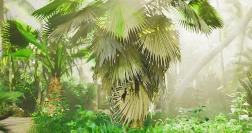 Lush Tropical Jungle with Golden Sunbeams Through Palm Trees