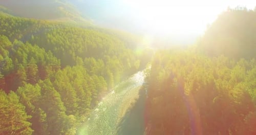 Low Altitude Flight Over Fresh Fast Mountain River with Rocks at Sunny Summer Morning