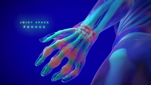 3D Futuristic Medical Scan of Human Hand Joints