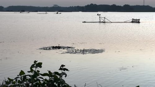 The fishermen cast their nets wide, hoping to catch the abundant fish that swim in the lake's depths