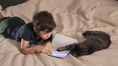 Young Boy Doing Homework with Cat on Bed