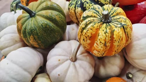 Pile Of Pumpkins Of Various Colors On The Market Stand