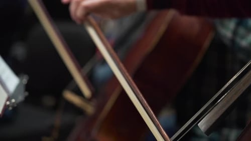 Musician Playing Violin Classical Music Orchestra on Stage Conservatory for Viewers
