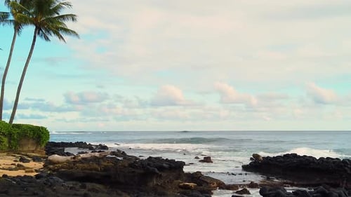 HD Slow motion Hawaii Kauai static of ocean waves building from right to left of frame with two palm