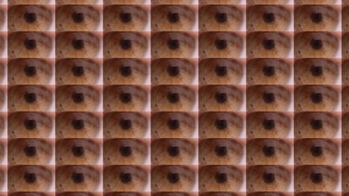 Secuencia de cambio de ojos diferentes