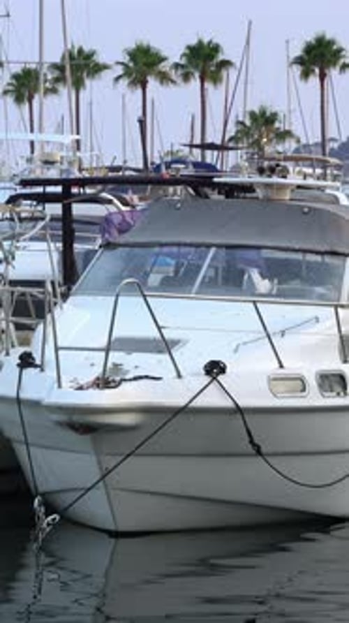 White boats docked in the Port de Golfe-Juan, France in the evening. Vertical