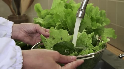 Green salad. Healthy eating. Detox food