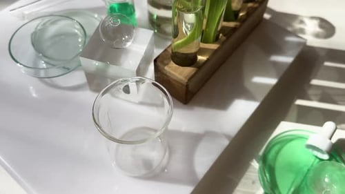 Concept de science et de nature