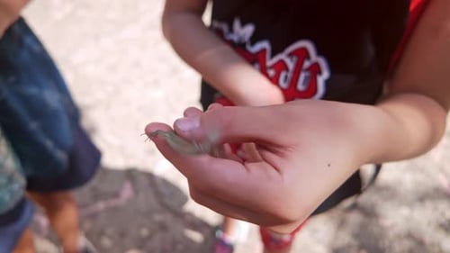 Neugieriges Kind hält eine kleine Echse in der Hand