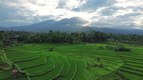 Wunderschöner Blick auf den Morgen, Indonesien, Panoramalandschaft, Wald mit Schönheit, Farbe und Himmel, natürlichem Licht