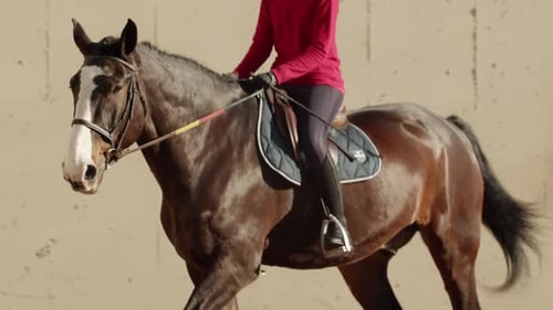 Girl on a Horse at a Riding School Closeup