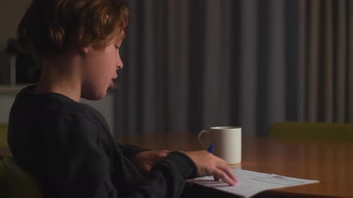 Boy doing homework and thinking over the answers