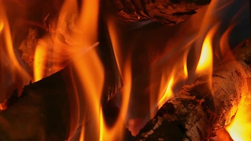 Camp Fire (4K)
