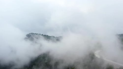 Foggy Forest With Road