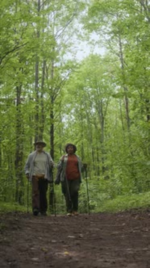 Mature Couple Hiking with Trekking Poles in Forest Vertical
