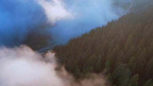 Foggy Misty Highland Road, Forest