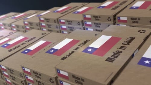Made in Chile box pack production loopable seamless