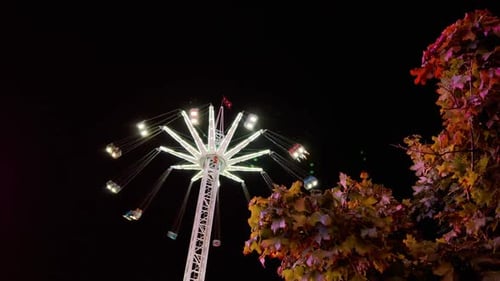AfterHours Thrills Enchanting Neon Amusement Park at Night
